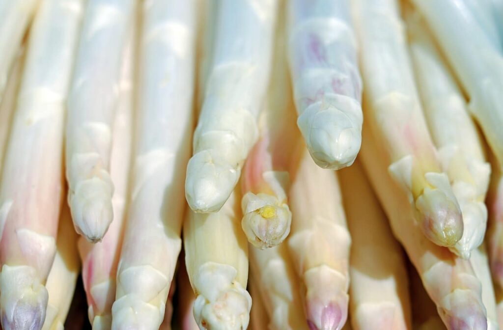 Asperges